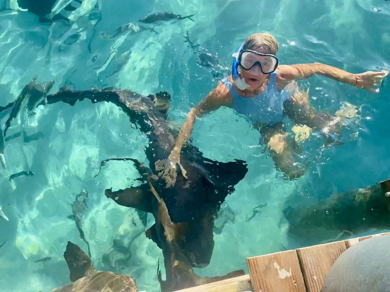 haciendo snorkel en bahamas entre tiburones
