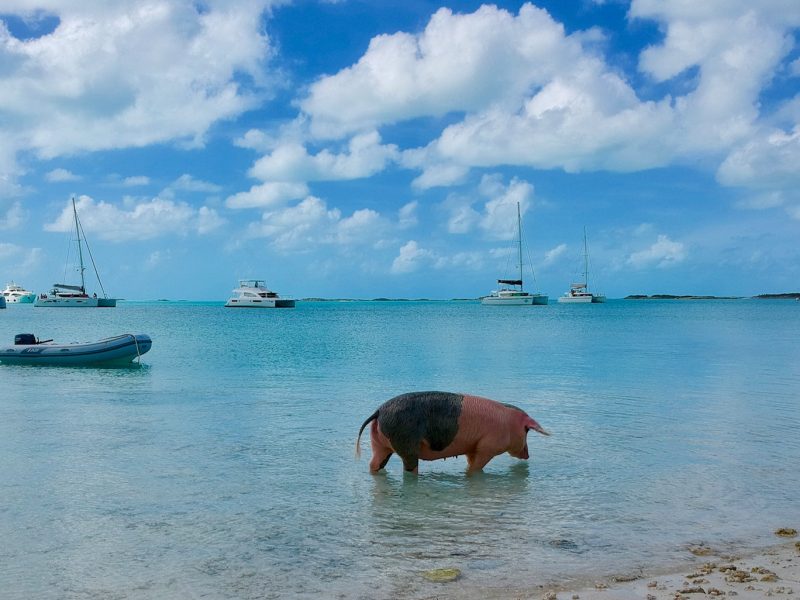 Alquiler-barco-Caribe-yate-motor-velero-catamaran-turismo-vacaciones-Bahamas