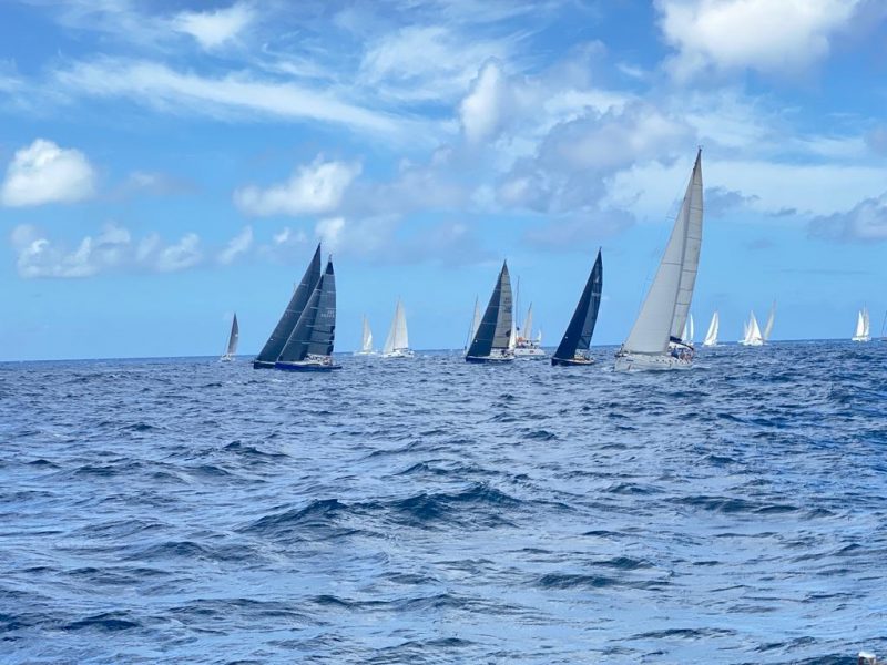 ASW53-Regata-diversion-Antigua-Sailing-Week-caribe-alquiler-barcos